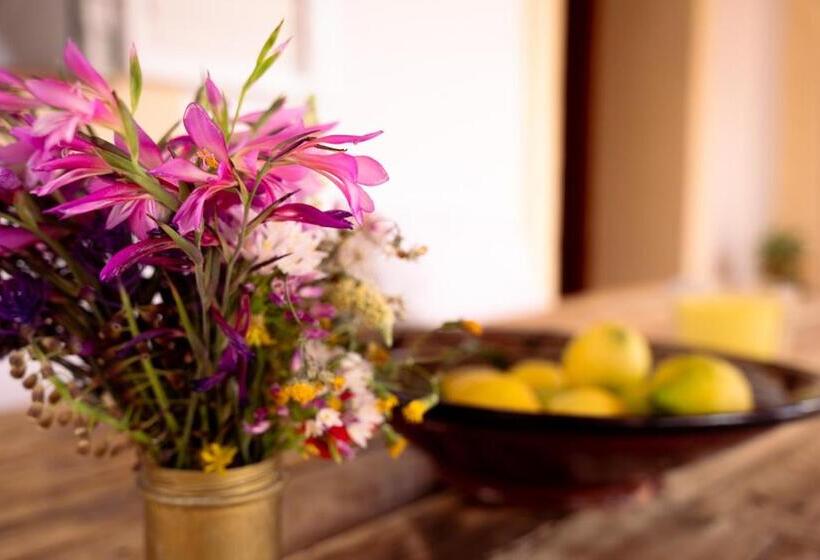 Номер Стандарт Совместная Ванная, Cas Besuro