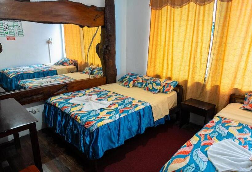 스탠다드 룸, Araucano