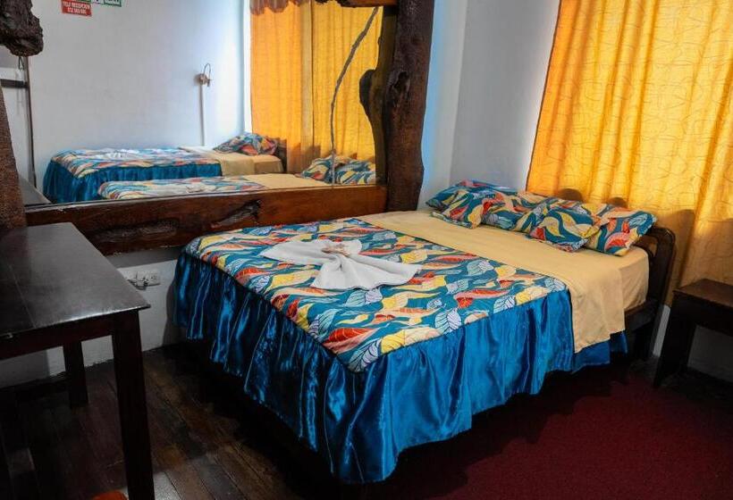 Номер Стандарт, Araucano