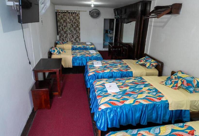 패밀리 룸, Araucano