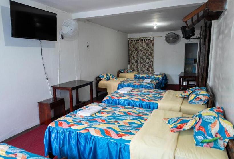 패밀리 룸, Araucano