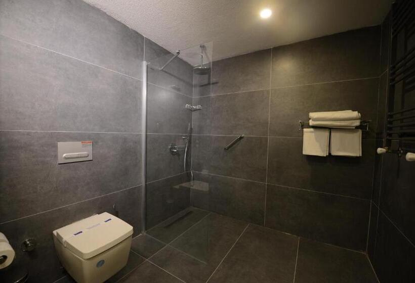 اتاق استاندارد برای معلولان, Wyndham Garden Cambasi