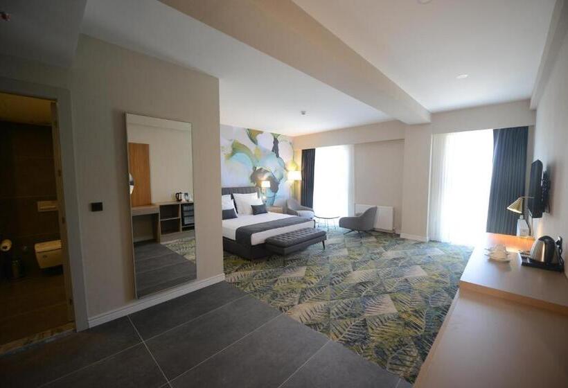 اتاق استاندارد برای معلولان, Wyndham Garden Cambasi