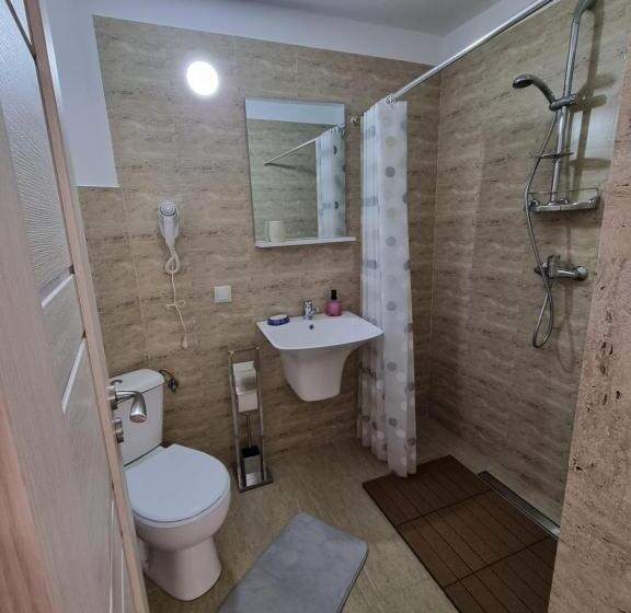 带大床的标准间, Vila Roxana Busteni