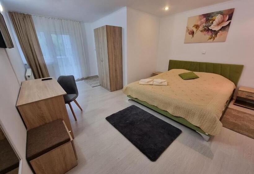 غرفة قياسية سرير كينج, Vila Roxana Busteni