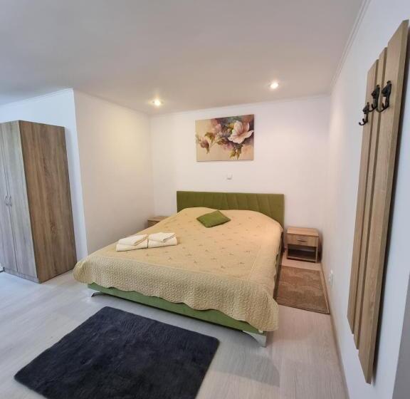 带大床的标准间, Vila Roxana Busteni