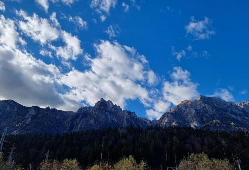 带大床的标准间, Vila Roxana Busteni