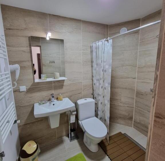 غرفة قياسية ثلاثية, Vila Roxana Busteni