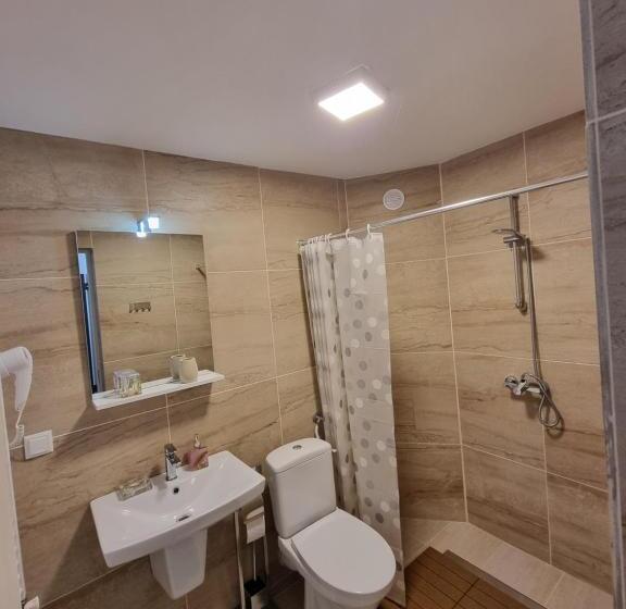 标准间带山景, Vila Roxana Busteni