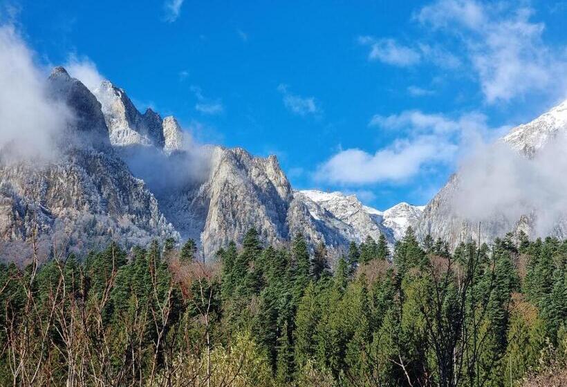 标准间带山景, Vila Roxana Busteni