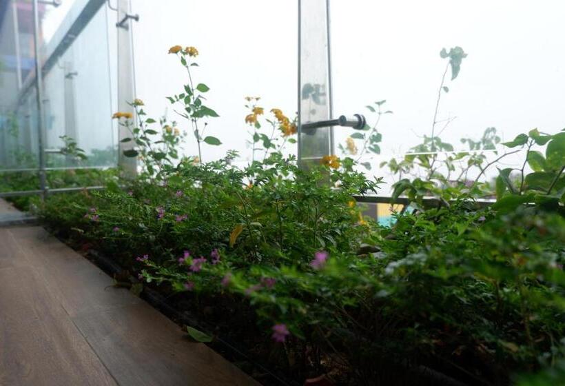 استودیوی استاندارد با چشم‌انداز دریا, Saturday Home   7th Floor Of Hải Tiến