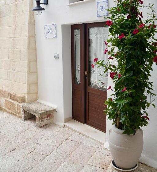 标准工作室, B&b San Carlo