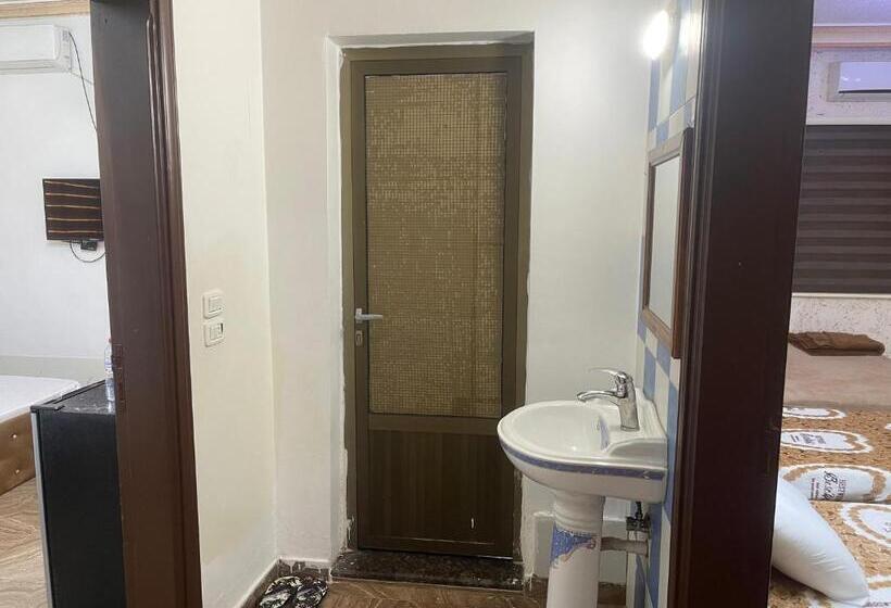 اتاق استاندارد سه نفره, Dopamine Room