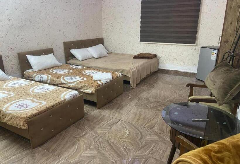 اتاق استاندارد سه نفره, Dopamine Room