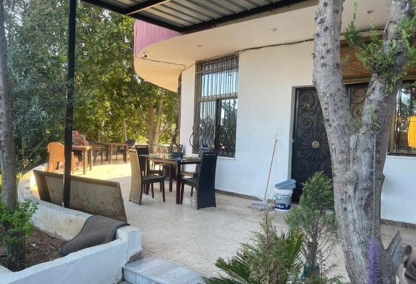 اتاق استاندارد سه نفره, Dopamine Room