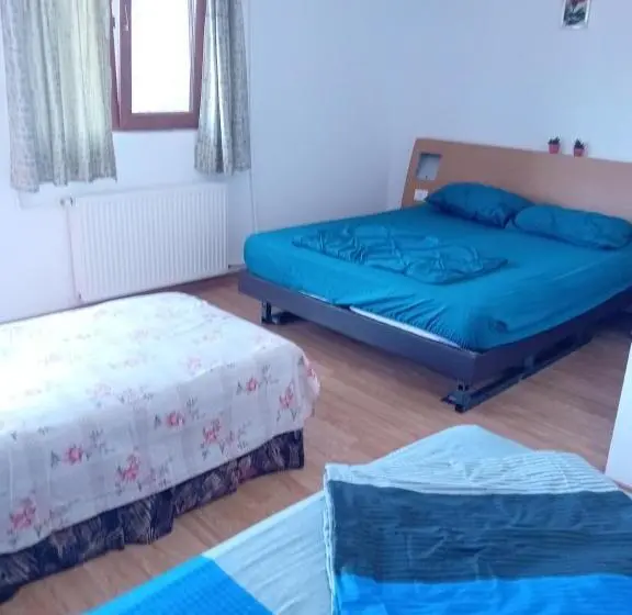 اتاق استاندارد چهار تخته, Lebada Neagră