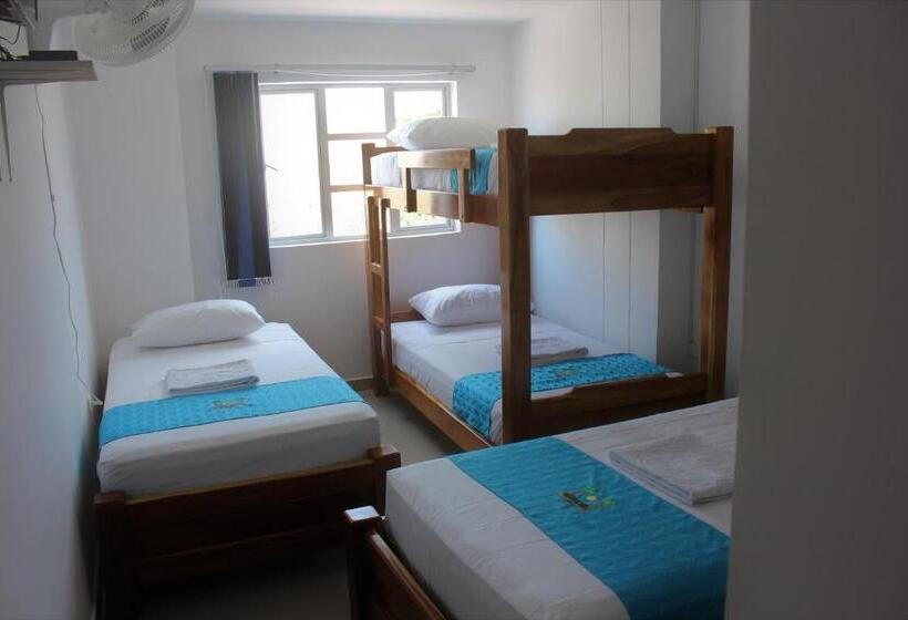 Dört Kişilik Standart Oda, Brisas Del Nare