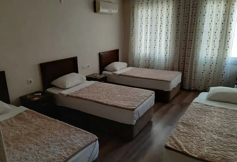 اتاق خانوادگی, Demirbas