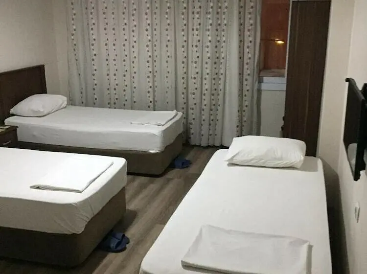 Economy Triple Room, Demirbas