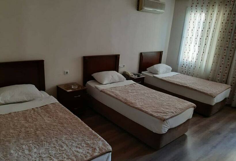 Economy Triple Room, Demirbas