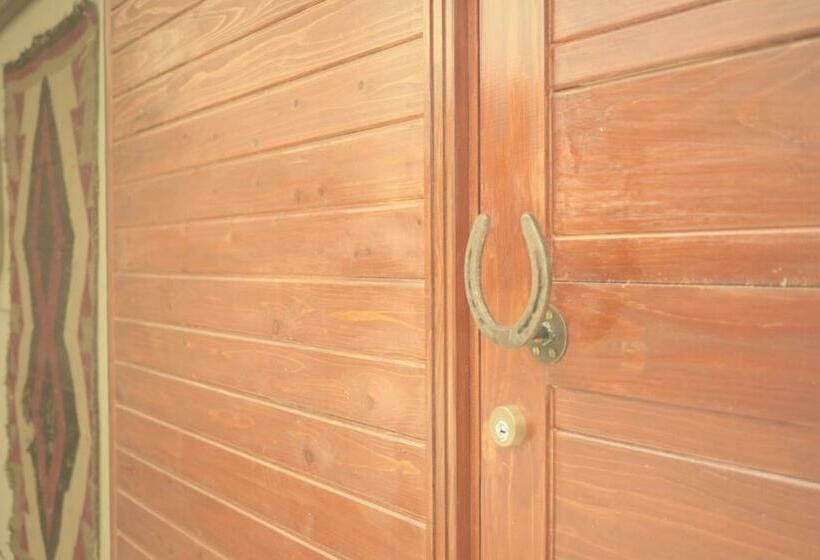 اتاق استاندارد با تخت بزرگ, Orrs