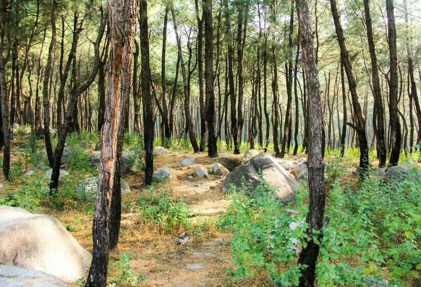 غرفة قياسية, Prakriti Aalay   Riverside Mountain View Boutique Eco Resort