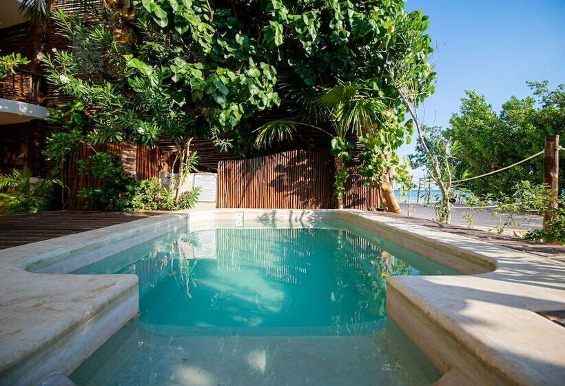 חדר דלוקס, Spirit Holbox