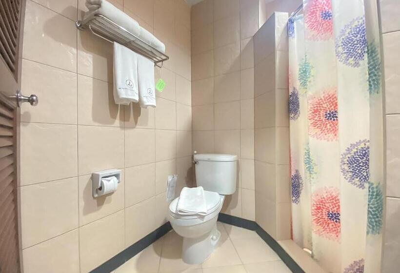 디럭스 룸, The Ligor City