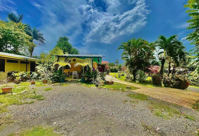 غرفة قياسية, Tierra De Volcanes