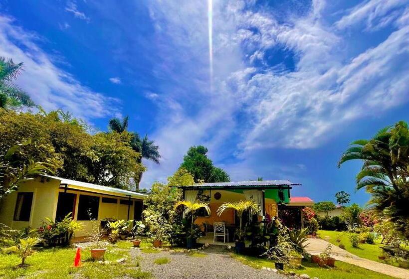 غرفة قياسية, Tierra De Volcanes