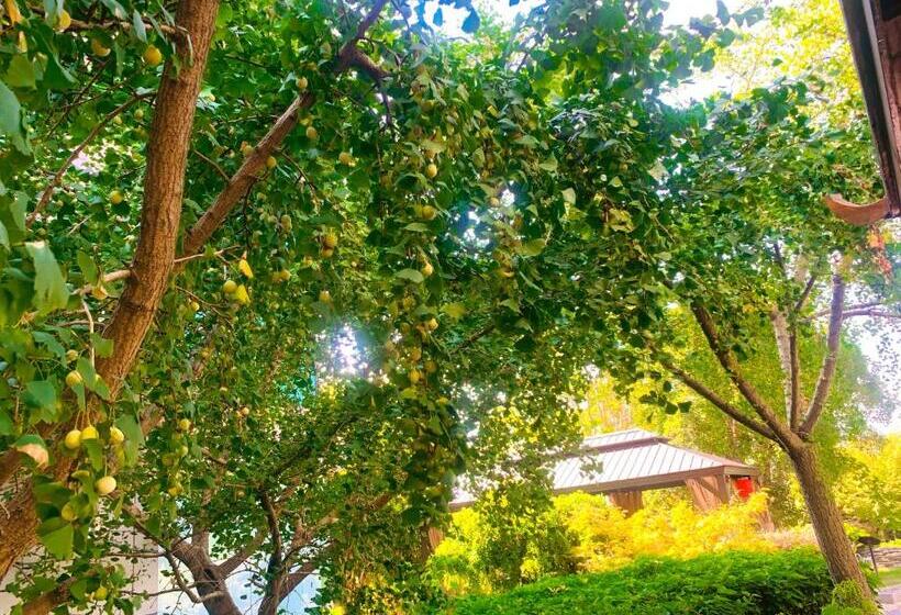 シングルデラックスルーム, Shushe Hotel Shanghai