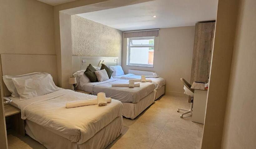 四人豪华间, Msm Arena