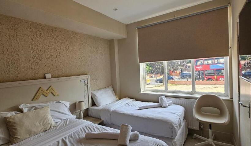 豪华三人间, Msm Arena