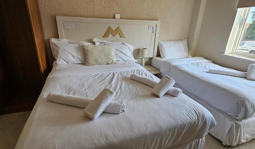 豪华三人间, Msm Arena