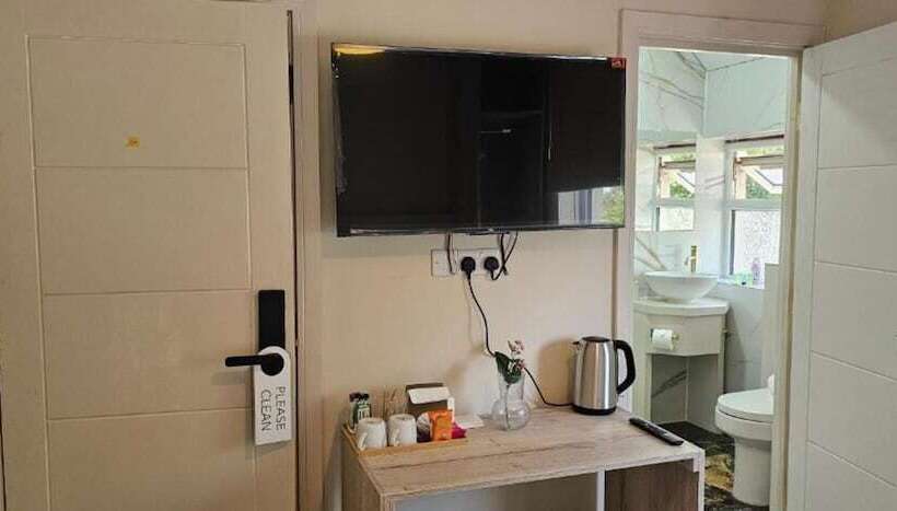 豪华房间, Msm Arena