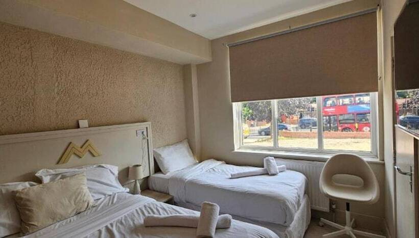 豪华三人间, Msm Arena