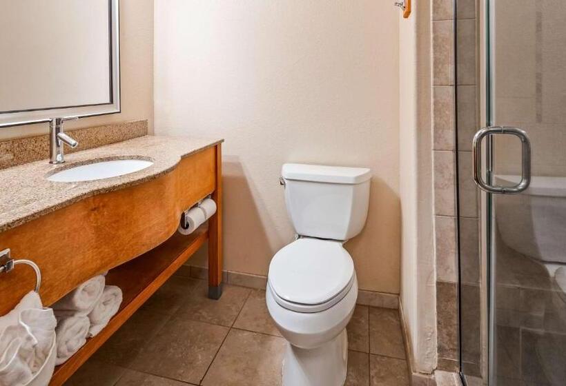 스탠다드 룸 킹사이즈 침대, Best Western Plus Rose City Conference Center Inn