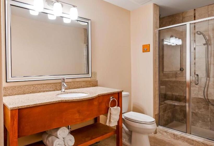 스위트 킹사이즈 침대, Best Western Plus Rose City Conference Center Inn