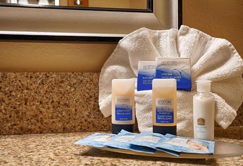 Номер Стандарт Кровать Кинг Адаптированный для Инвалидов, Best Western Plus Rose City Conference Center Inn