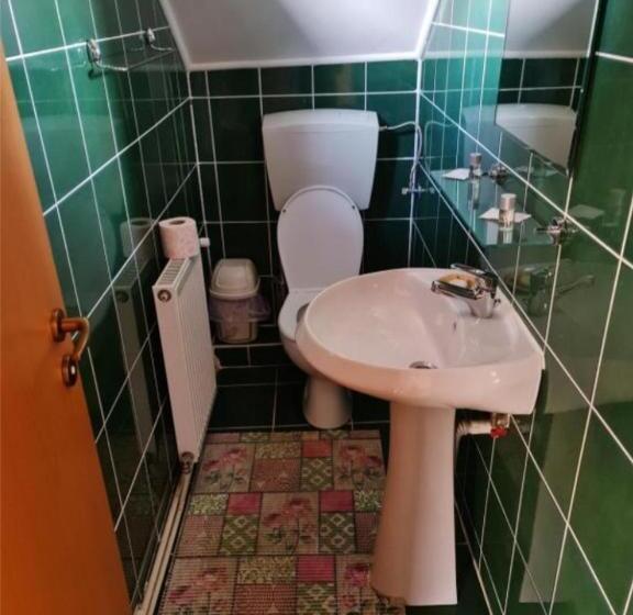 Standard room with outdoor bath, Pensiunea Miruna