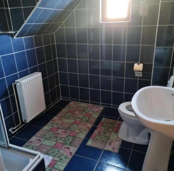 Standard room with outdoor bath, Pensiunea Miruna