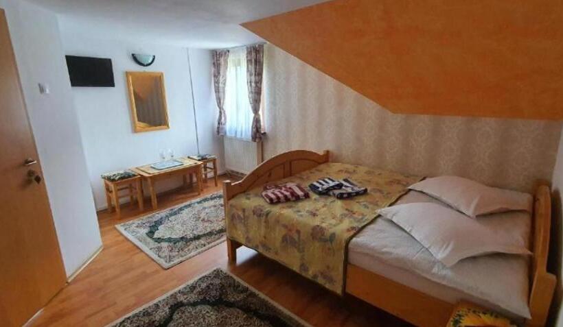 חדר דלוקס עם נוף, Pensiunea Miruna