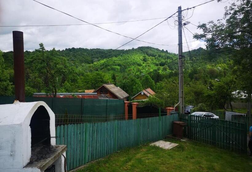 ‫فيلا غرفة نوم واحدة مطلة على الحديقة, Casa Bordei