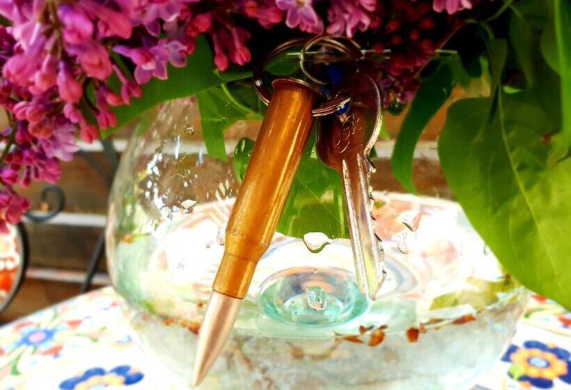 اتاق استاندارد, Guest House Barkhat