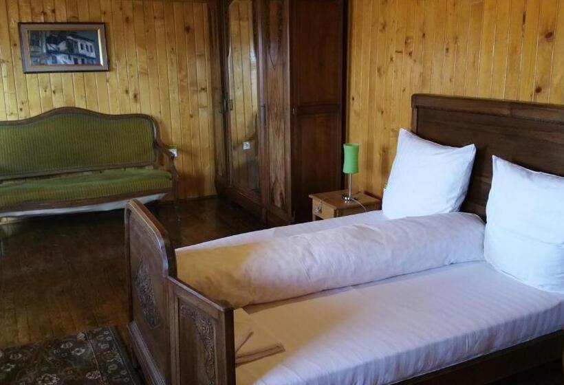 דירת דופלקס בת חדר שינה 1, Residence Homorod