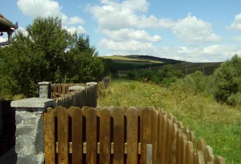 １ベッドルームドゥプレックスアパートメント, Residence Homorod