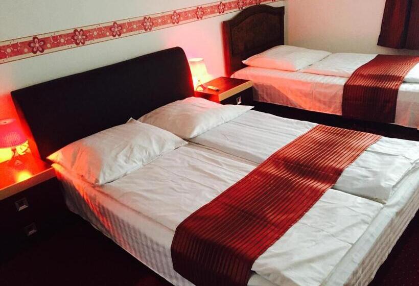 트리플 클래식 룸, Pensiunea Anca Sibiel