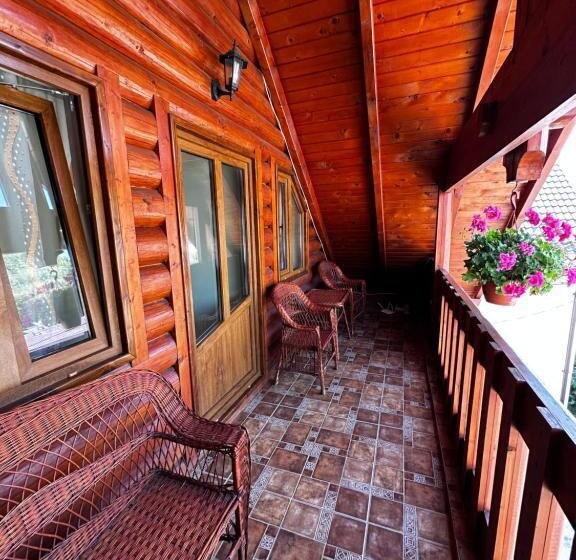 テラスつきの２ベッドルームアパートメント, Pensiunea Dorina