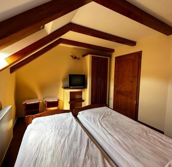 テラスつきの２ベッドルームアパートメント, Pensiunea Dorina