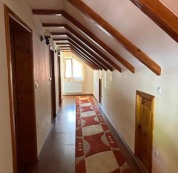 شقة غرفتين نوم مزودة بتراس, Pensiunea Dorina